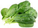 Espinacas